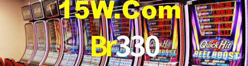 Programa VIP Br330